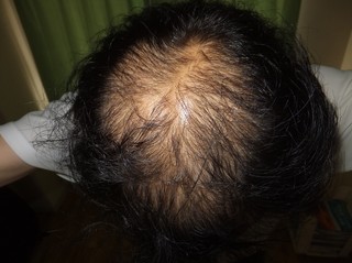 kami001.jpg